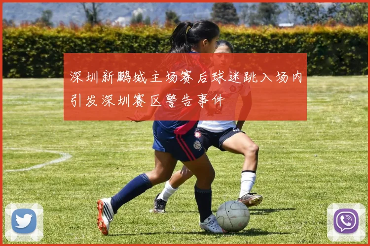 深圳新鹏城主场赛后球迷跳入场内引发深圳赛区警告事件