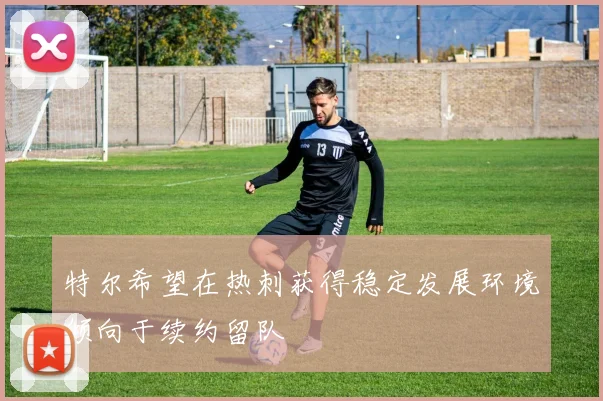 特尔希望在热刺获得稳定发展环境倾向于续约留队